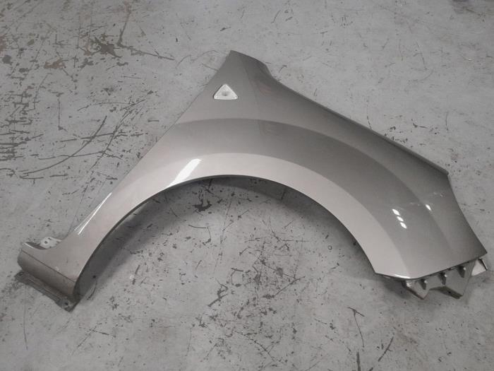 Renault Kangoo Scherm rechts-voor