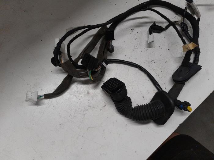 Renault Kangoo Kabelboom