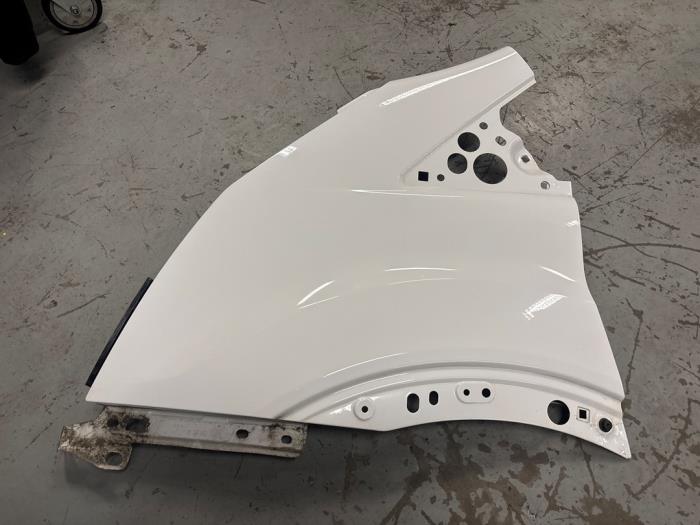 Ford Transit Scherm links-voor