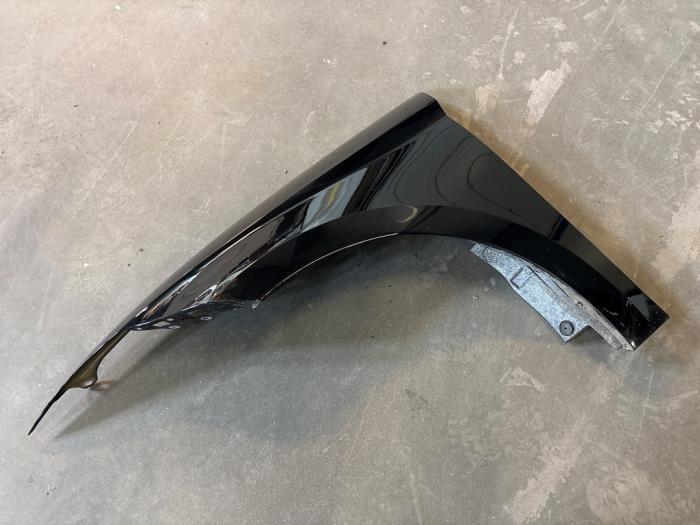 Seat Ibiza Scherm links-voor
