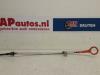 Audi Q7 (4LB) 4.2 FSI V8 32V Olie Peilstok