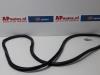 Audi Q7 (4LB) 4.2 FSI V8 32V Deurrubber 4Deurs links-voor