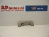 Audi Q7 (4LB) 4.2 FSI V8 32V Handgreep