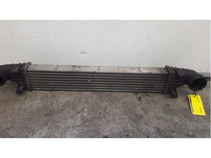 Gebruikte Intercooler Mercedes E Combi (S211) 2.2 E-220 CDI 16V Prijs op aanvraag aangeboden door Tijdeman Mercedes Onderdelen