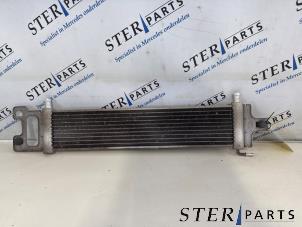 Gebruikte Radiateur Mercedes B (W246) Electric Drive Prijs € 99,50 Margeregeling aangeboden door Sterparts Mercedes specialist