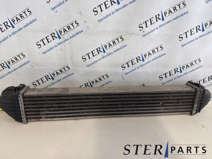 Gebruikte Intercooler Mercedes B (W245) 2.0 B-200 16V Turbo Prijs € 19,50 Margeregeling aangeboden door Sterparts Mercedes specialist