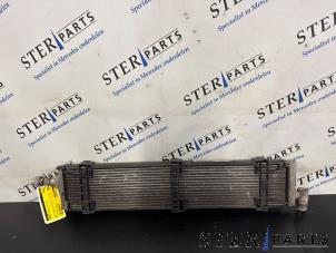 Gebruikte Radiateur Mercedes C Estate (S205) C-350 e 2.0 16V Prijs € 59,50 Margeregeling aangeboden door Sterparts Mercedes specialist