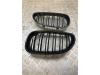 BMW 5 serie (E60) 523i 24V Grille