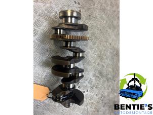 Gebruikte Krukas BMW 3 serie Touring (E91) 318i 16V Prijs € 400,00 Margeregeling aangeboden door Bentie's autodemontage