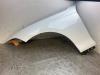 BMW 1 serie (F20) 116i 1.6 16V Scherm links-voor