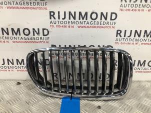 Gebruikte Grille BMW 5 serie (F10) 518d 16V Prijs op aanvraag aangeboden door Autodemontage Rijnmond BV