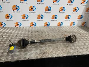 Gebruikte Cardanas rechts-voor (VWA) Volkswagen Caddy III (2KA,2KH,2CA,2CH) 1.6 TDI 16V Prijs op aanvraag aangeboden door Autodemontage Rijnmond BV