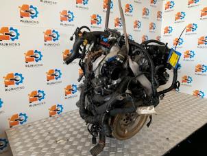 Gebruikte Motor Ford Focus 3 Wagon 1.5 TDCi Prijs € 2.650,00 Margeregeling aangeboden door Autodemontage Rijnmond BV