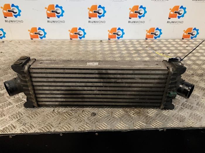 Gebruikte Intercooler Ford Transit Custom 2.2 TDCi 16V Prijs op aanvraag aangeboden door Autodemontage Rijnmond BV