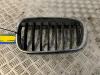 BMW X1 (F48) xDrive 20d 2.0 16V Grille