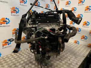 Gebruikte Motor Ford Fiesta 7 1.1 Ti-VCT 12V 85 Prijs € 3.085,50 Inclusief btw aangeboden door Autodemontage Rijnmond BV