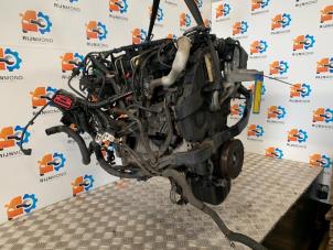 Gebruikte Motor Ford Fiesta 6 (JA8) 1.6 TDCi 16V Prijs € 400,00 Margeregeling aangeboden door Autodemontage Rijnmond BV