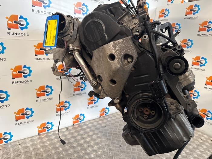 Gebruikte Motor Volkswagen Polo IV (9N1/2/3) 1.4 TDI 70 Prijs € 750,00 Margeregeling aangeboden door Autodemontage Rijnmond BV