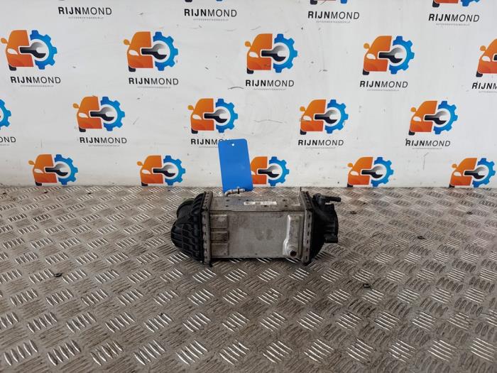 Gebruikte Intercooler Volkswagen Polo VI (AW1) 1.0 TSI 12V Prijs op aanvraag aangeboden door Autodemontage Rijnmond BV