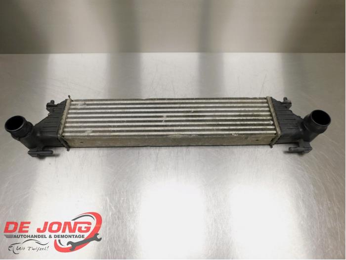 Gebruikte Intercooler Fiat 500L Prijs € 39,90 Margeregeling aangeboden door Autodemontagebedrijf de Jong