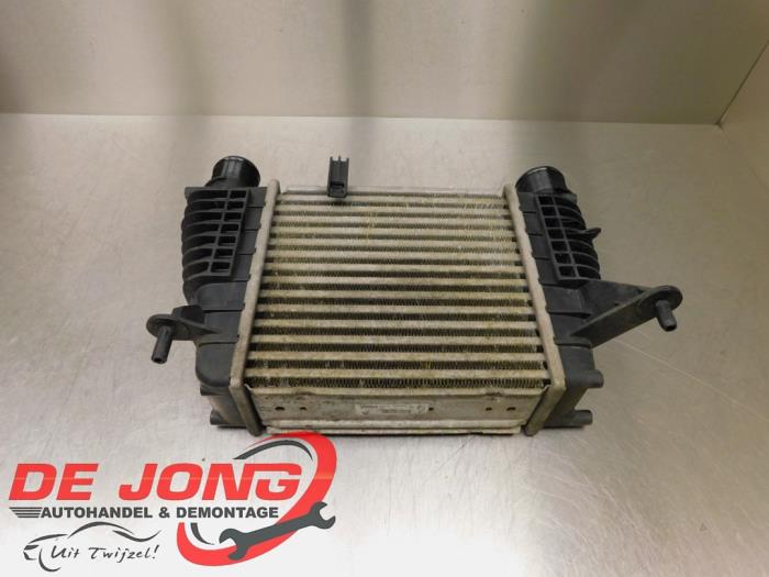 Gebruikte Intercooler Renault Clio III (BR/CR) 1.2 16V TCe 100 Prijs € 14,90 Margeregeling aangeboden door Autodemontagebedrijf de Jong