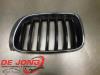 BMW X3 (F25) xDrive20d 16V Grille