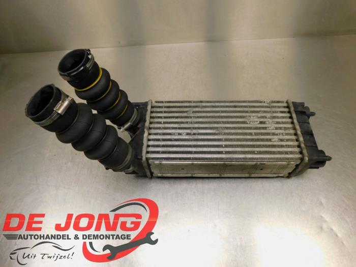 Gebruikte Intercooler Peugeot Partner (GC/GF/GG/GJ/GK) 1.6 HDI 90 Prijs € 9,90 Margeregeling aangeboden door Autodemontagebedrijf de Jong