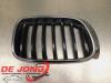 BMW X3 (F25) xDrive20d 16V Grille