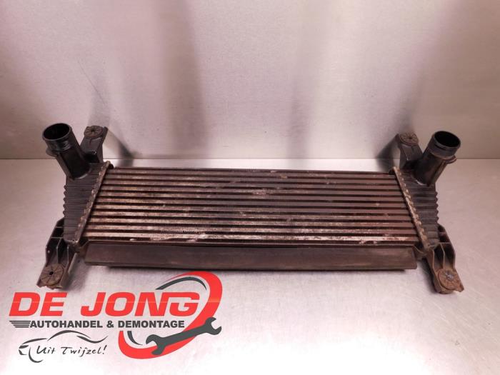 Gebruikte Intercooler Ford Ranger Prijs € 200,00 Margeregeling aangeboden door Autodemontagebedrijf de Jong