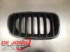 BMW X5 (E70) xDrive 35d 3.0 24V Grille