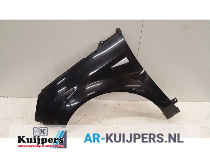 Scherm links-voor - Renault Grand Scenic