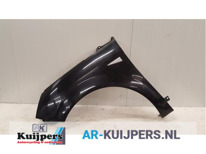 Scherm links-voor - Renault Grand Scenic