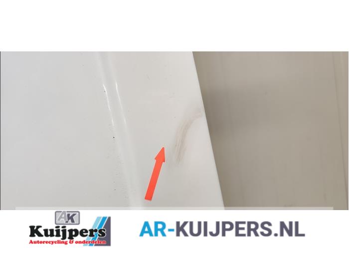 Achterdeur Bus-Bestelauto - Ford Transit