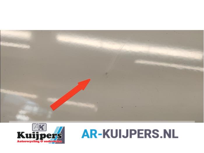 Achterdeur Bus-Bestelauto - Ford Transit