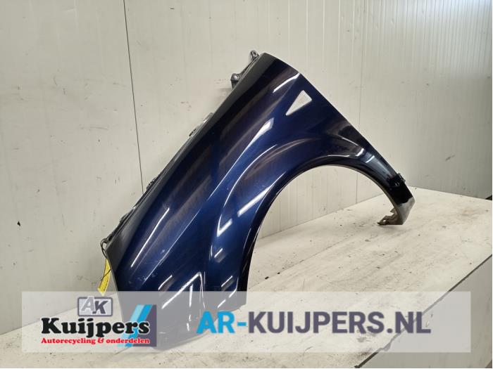 Scherm links-voor - Renault Grand Scenic