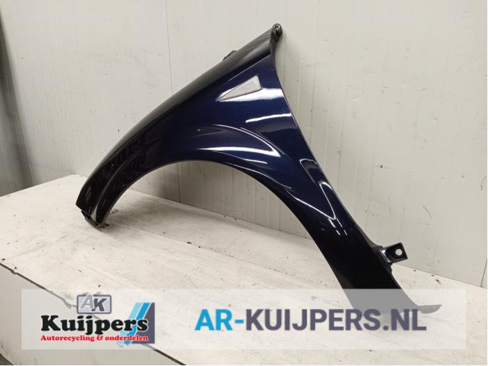 Scherm links-voor - Renault Grand Scenic