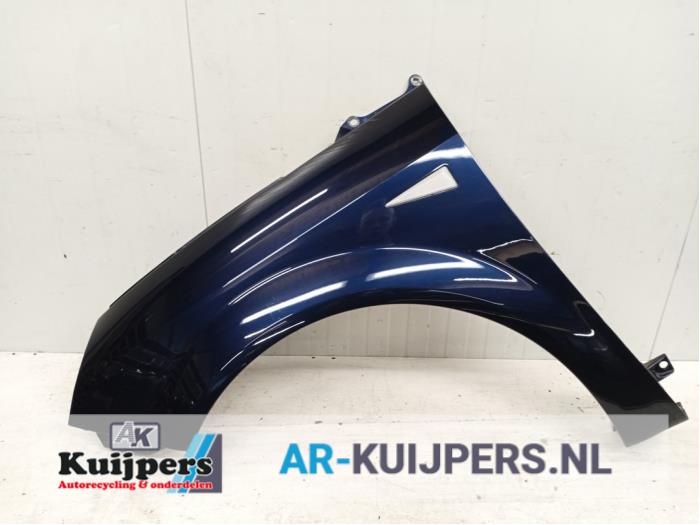 Scherm links-voor - Renault Grand Scenic