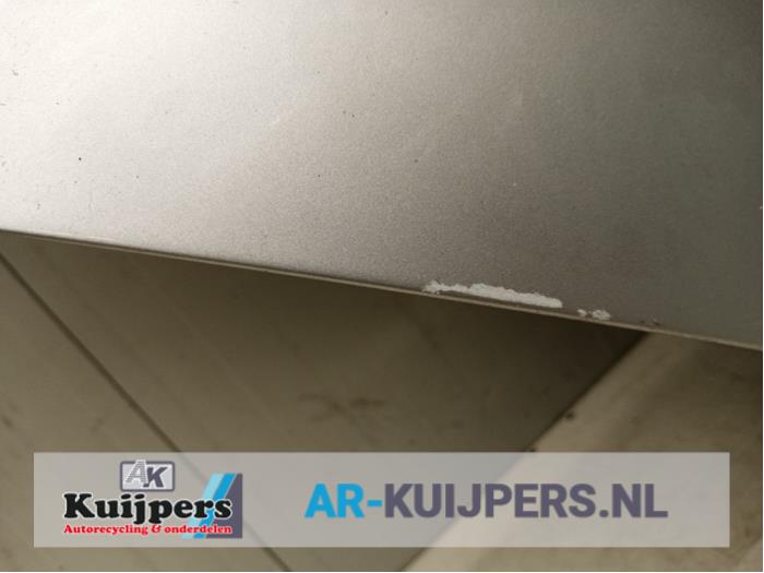 Portier 4Deurs rechts-achter - Skoda Fabia