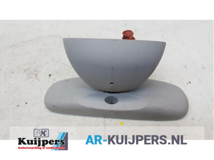 Binnenspiegel - Renault Grand Scenic