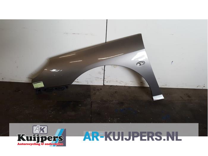 Scherm links-voor - Peugeot 407