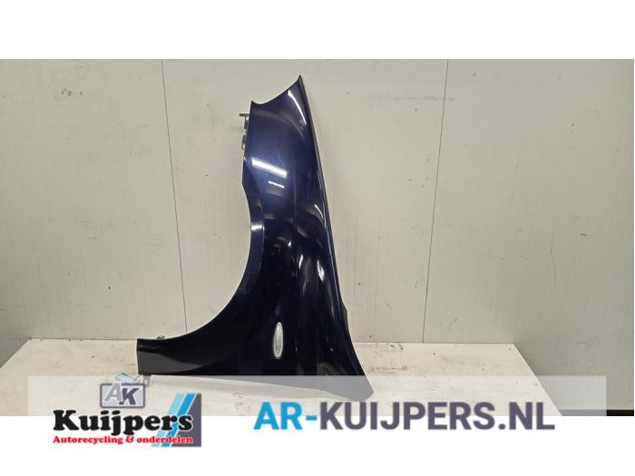 Scherm links-voor - Fiat Croma