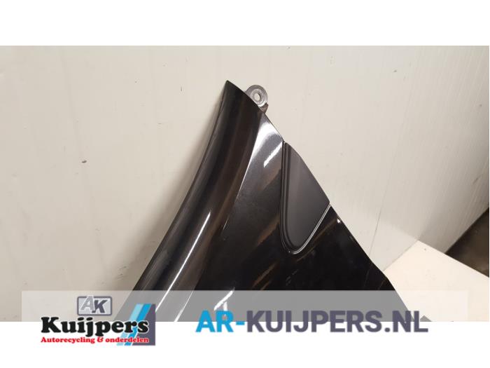 Scherm links-voor - Renault Clio