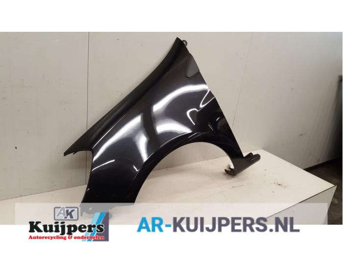 Scherm links-voor - Renault Clio