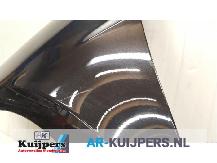 Scherm links-voor - Renault Clio