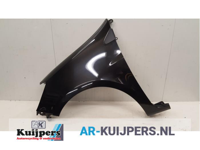 Scherm links-voor - Renault Clio