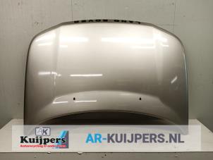 Gebruikte Motorkap Landrover Freelander Hard Top 2.5 V-6 Prijs € 75,00 Margeregeling aangeboden door Autorecycling Kuijpers