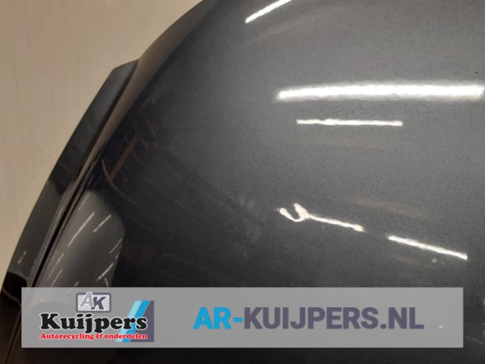 Motorkap - Peugeot 207