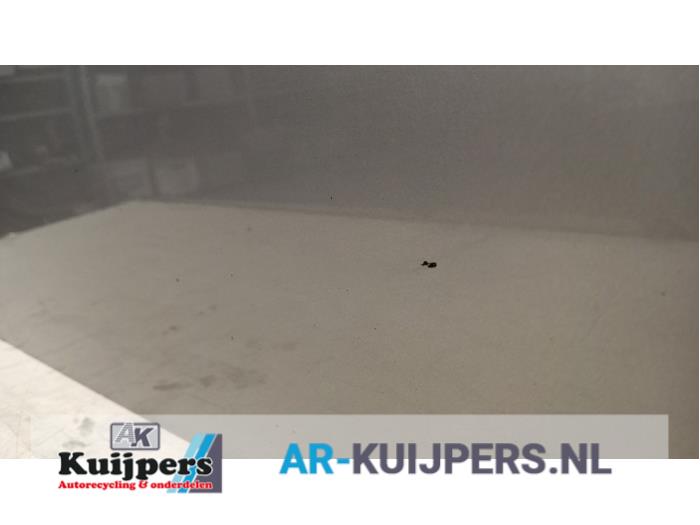 Portier 4Deurs links-voor - Renault Megane