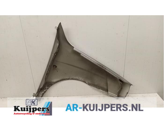 Scherm links-voor - Fiat Doblo