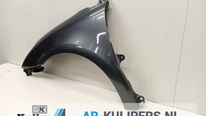 Scherm links-voor - Citroen C4